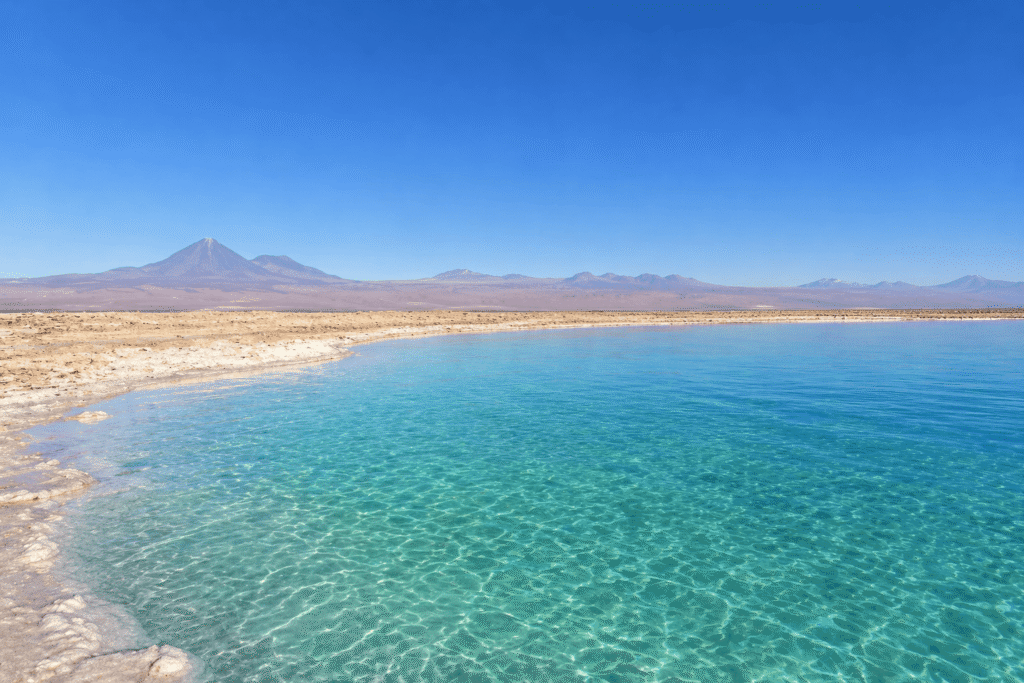 Um turista homem flutuando relaxado nas águas azul-turquesa da Laguna Cejar, em San Pedro de Atacama, com o vulcão Licancabur e a Cordilheira dos Andes ao fundo, durante um passeio com a TripChile.
